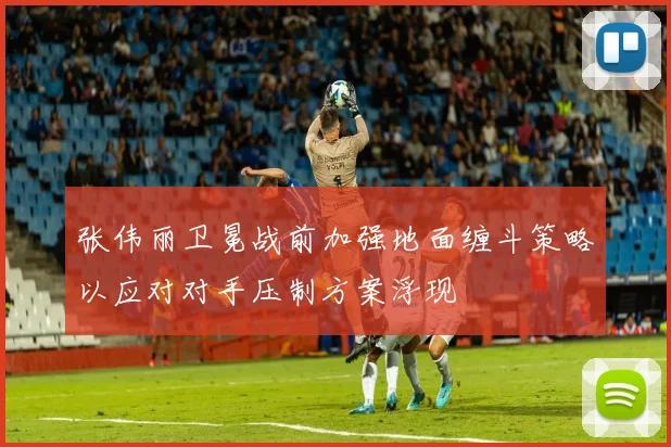 张伟丽卫冕战前加强地面缠斗策略以应对对手压制方案浮现